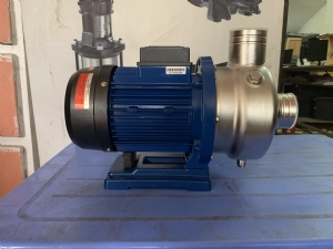 Bơm đĩa cánh hở inox EWARA DWO 200